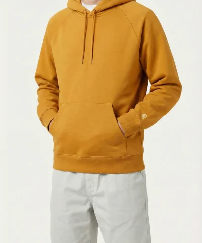 carhartt wip chase hoodie